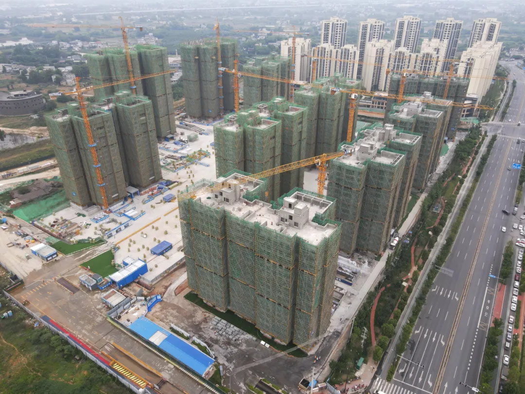 1728718764919804.jpg 1.jpg