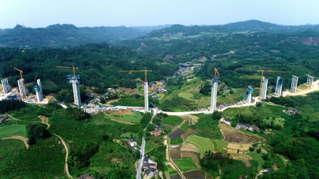 1728888293617161.jpg 1.jpg