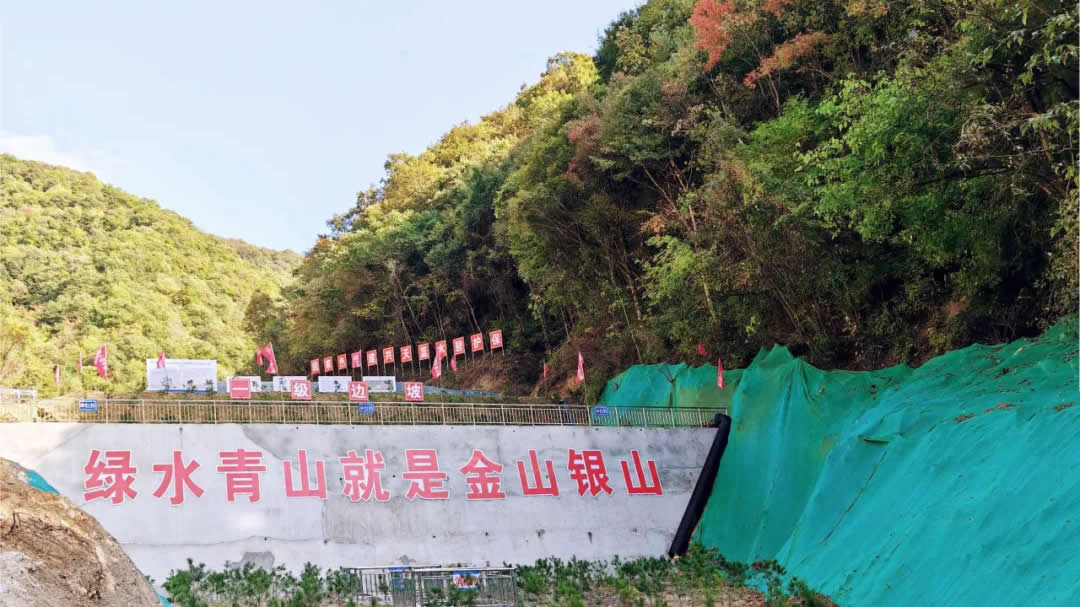 1728888999393654.jpg 1.jpg