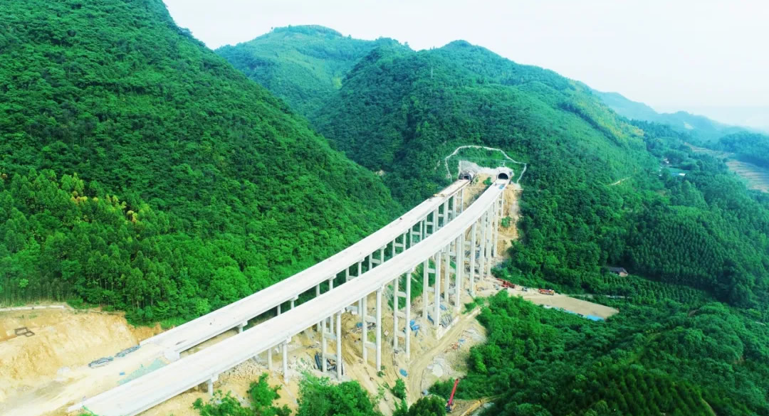 1733277859103680.jpg 1.jpg