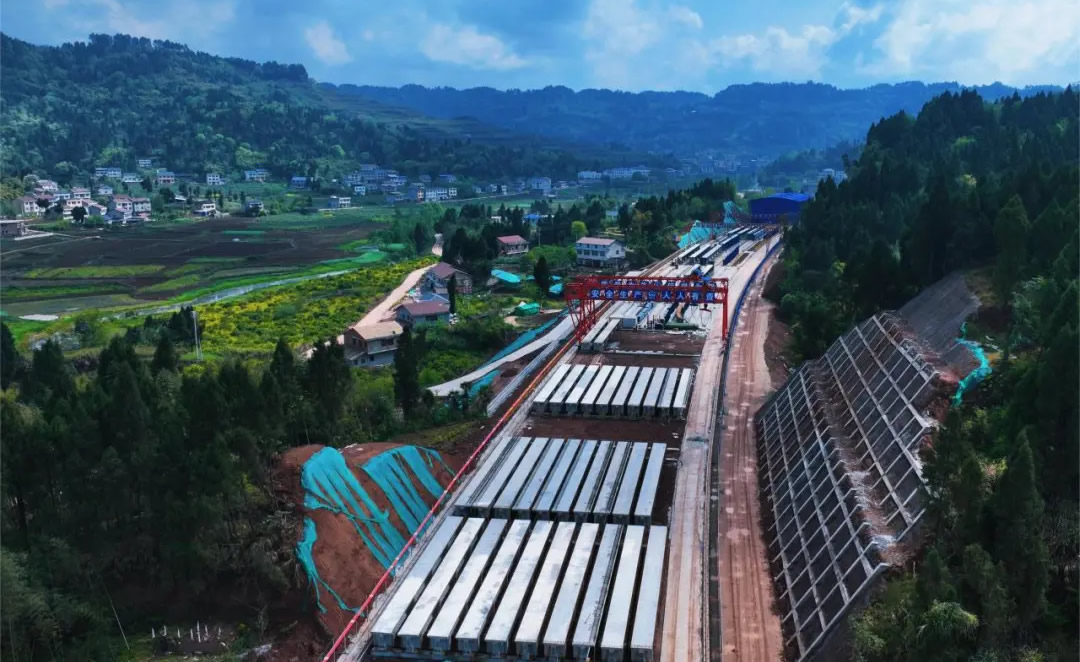 1735627402945408.jpg 1.jpg