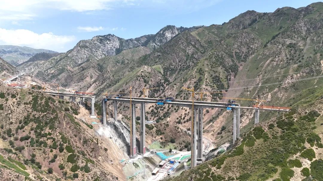 1752214365440301.jpg 1.jpg