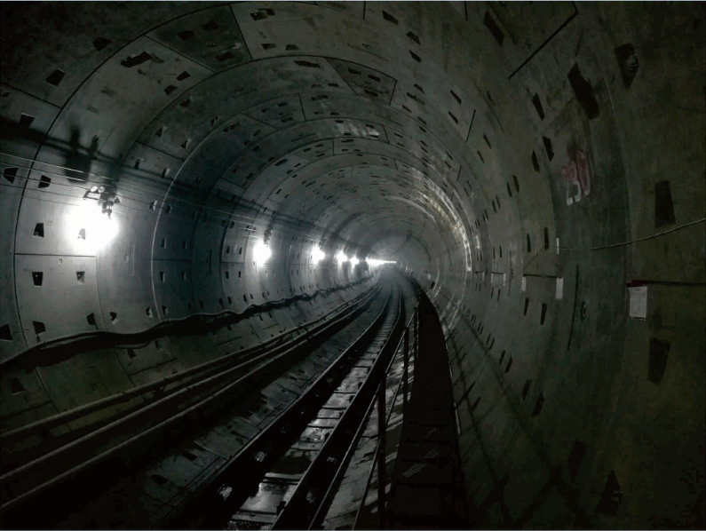 4《洞中歲月》  李云鵬.png 4《洞中歲月》  李云鵬.png