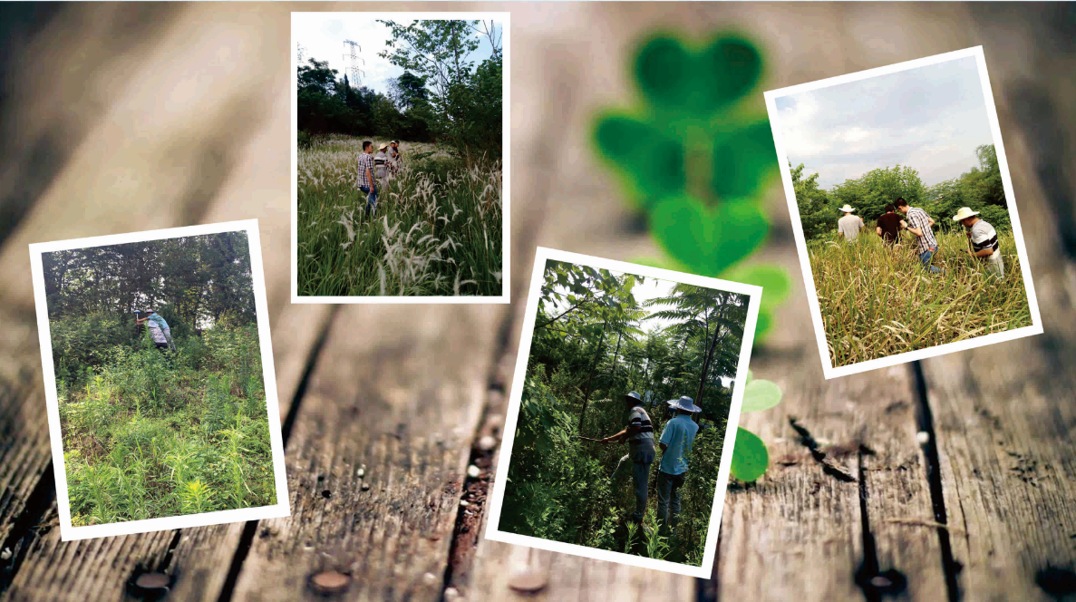 4《我們的日常》  黃子涵.png 4《我們的日常》  黃子涵.png